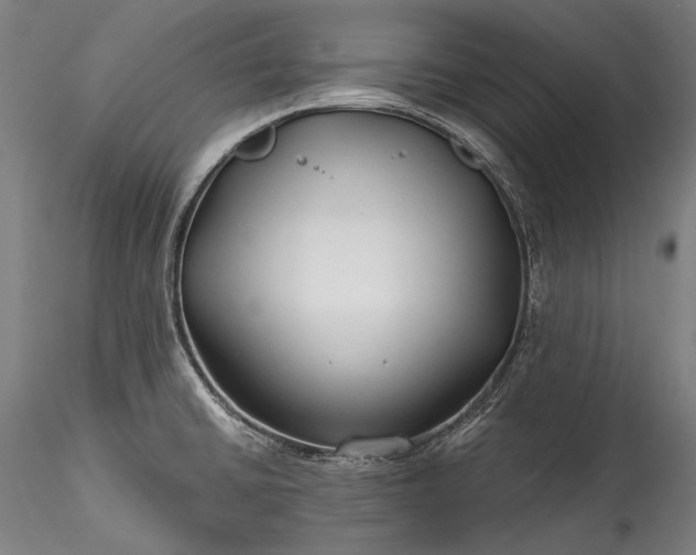 X0000115771430200911271129
