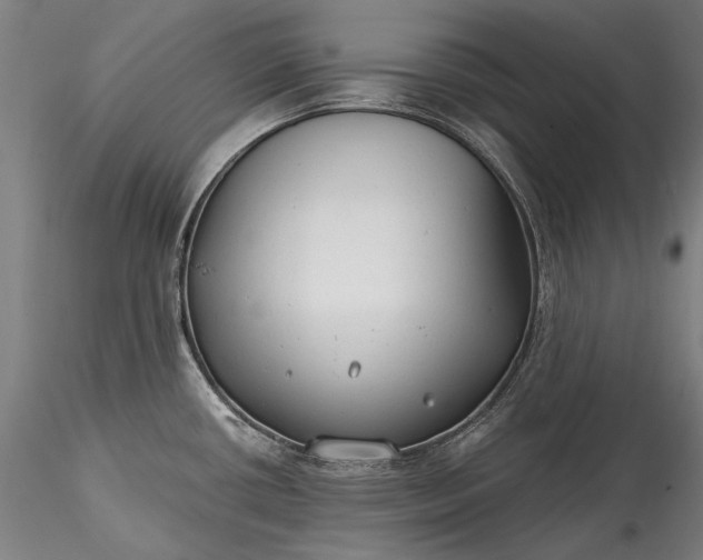 X0000115771434200911271129