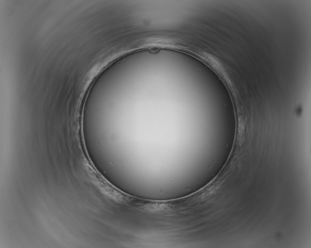 X0000115771435200911271129