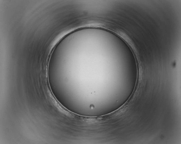 X0000115771436200911271129