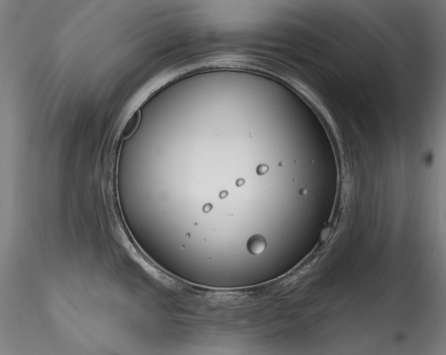 X0000115771437200911271129