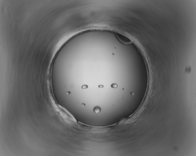 X0000115771440200911271129