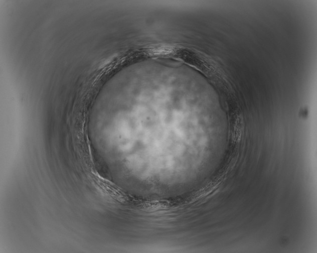 X0000115771441200911271129
