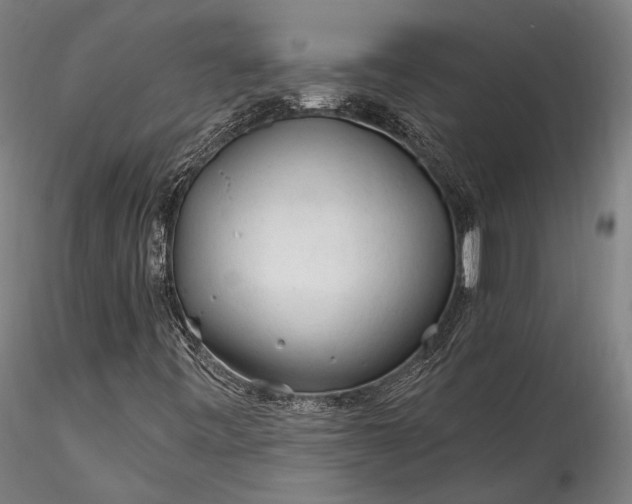 X0000115771443200911271129