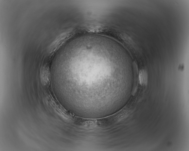 X0000115771444200911271129