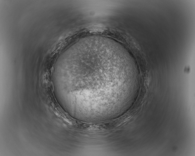 X0000115771445200911271129