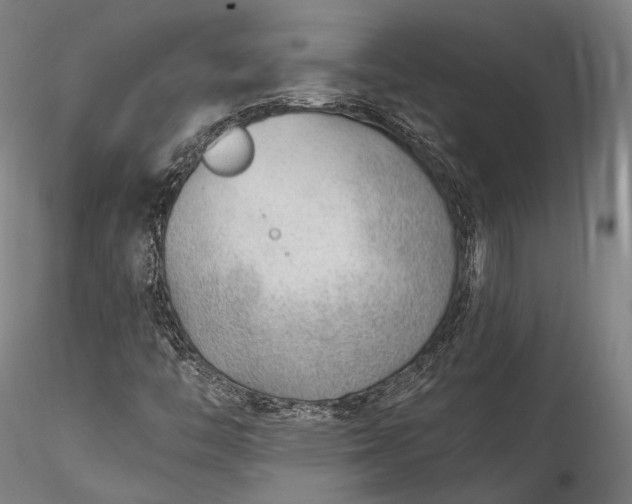 X0000115771446200911271129