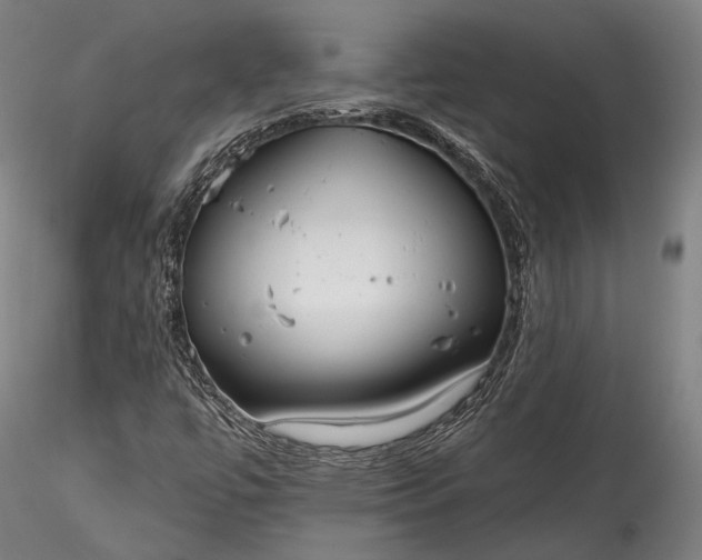 X0000115771447200911271129