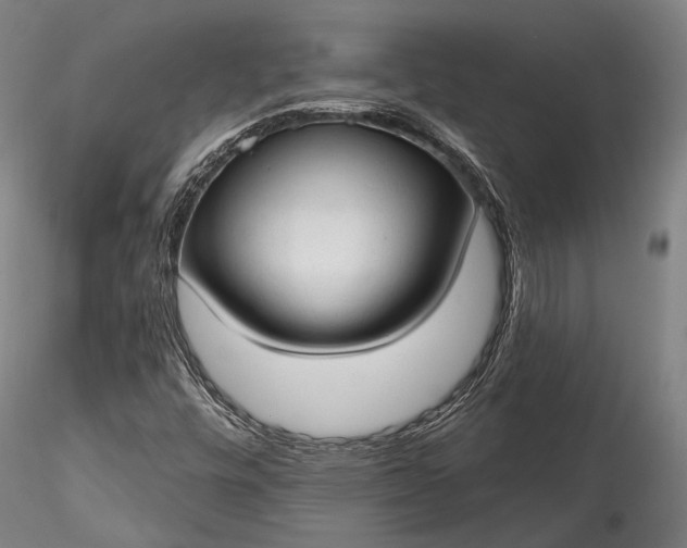 X0000115771448200911271129