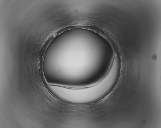 X0000115771449200911271129