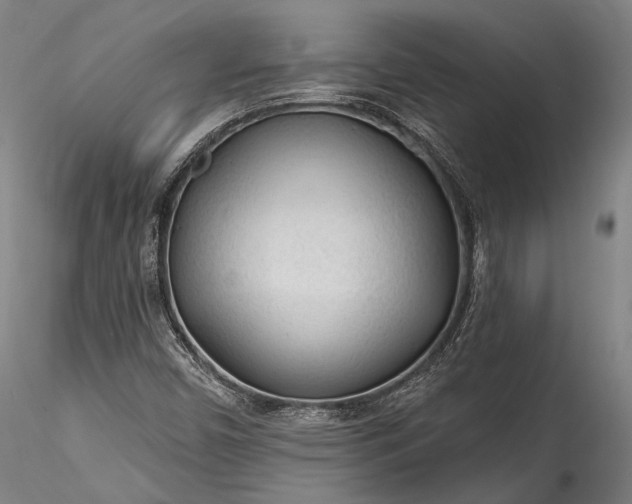 X0000115771450200911271128