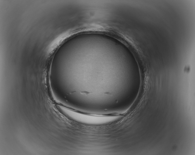 X0000115771455200911271128