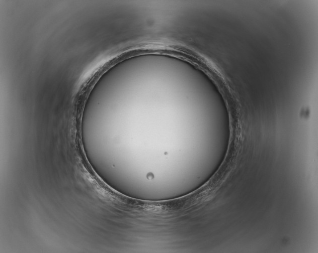 X0000115771456200911271128