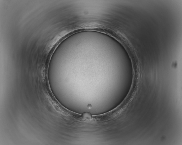 X0000115771457200911271128