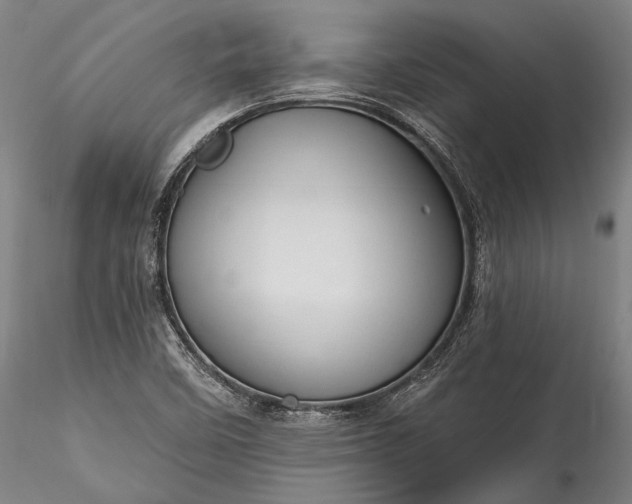 X0000115771458200911271128