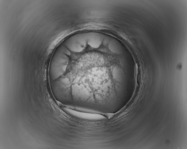 X0000115771459200911271128