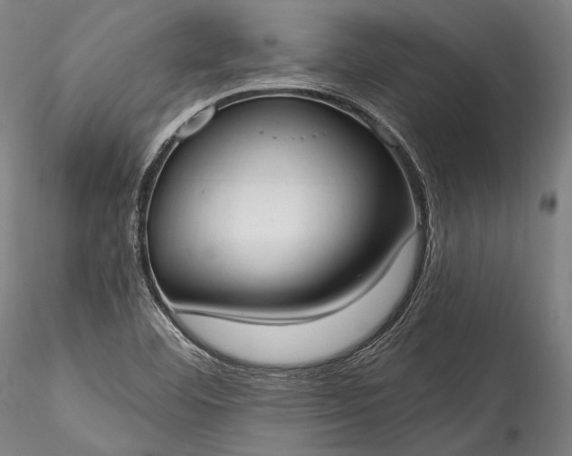 X0000115771460200911271128