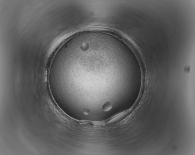 X0000115771461200911271128