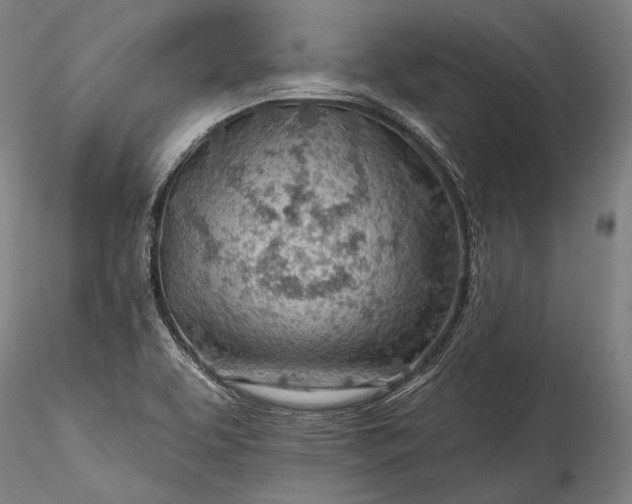X0000115771463200911271128