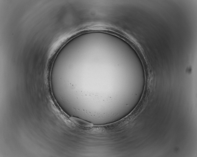 X0000115771464200911271128