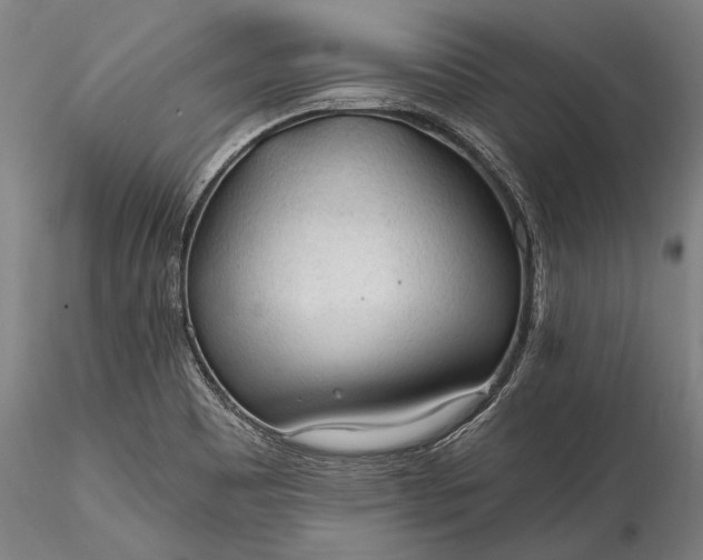 X0000115771465200911271128