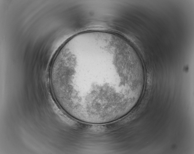 X0000115771466200911271128