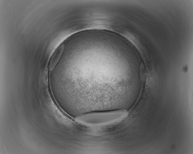 X0000115771468200911271128