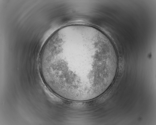 X0000115771474200911271128