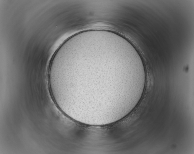 X0000115771478200911271128