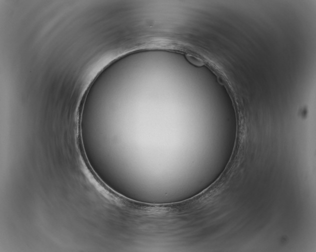 X0000115771479200911271128