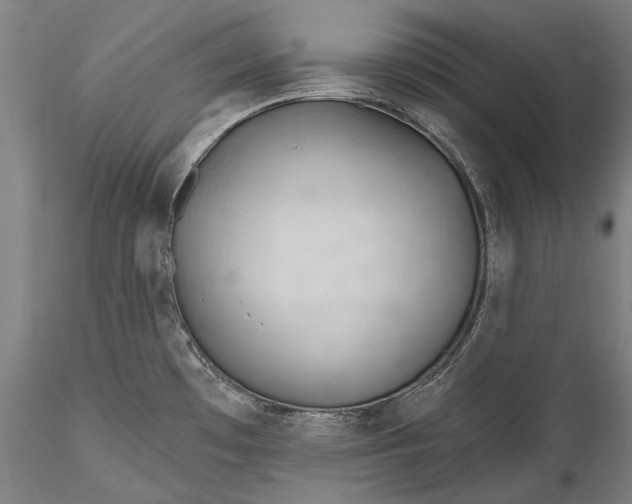 X0000115771481200911271128
