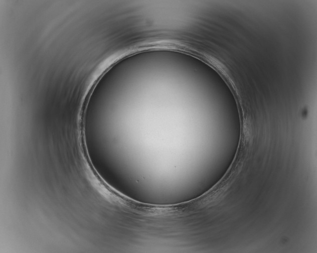 X0000115771482200911271128