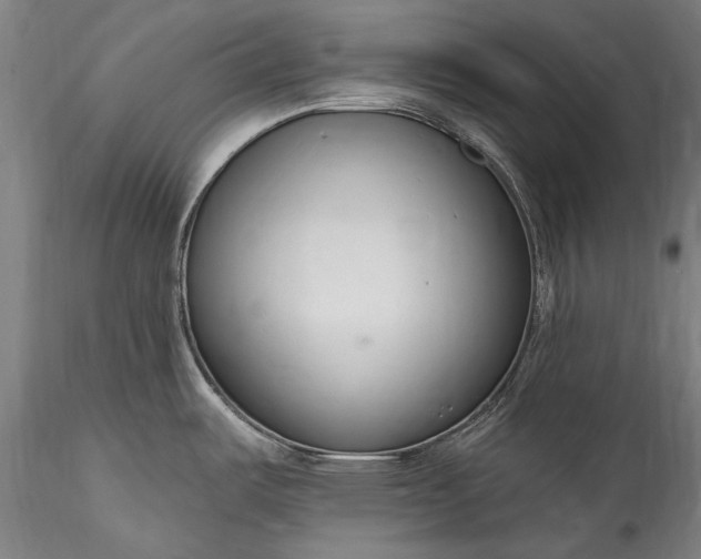 X0000115771487200911271128