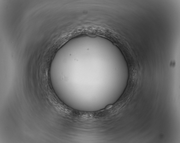 X0000115771489200911271127