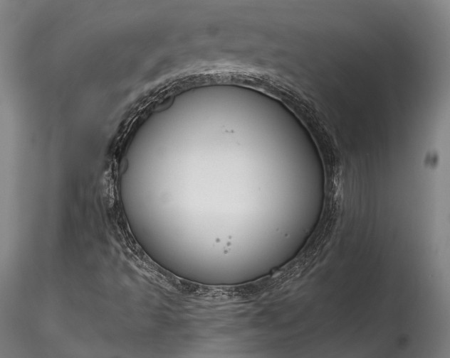 X0000115771493200911271127