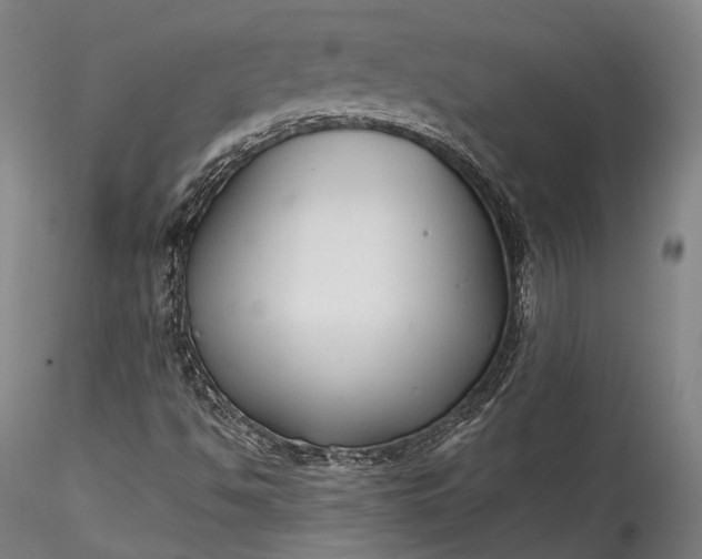 X0000115771494200911271127
