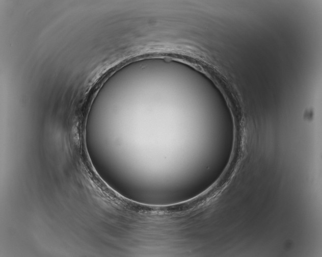 X0000115771497200911271127