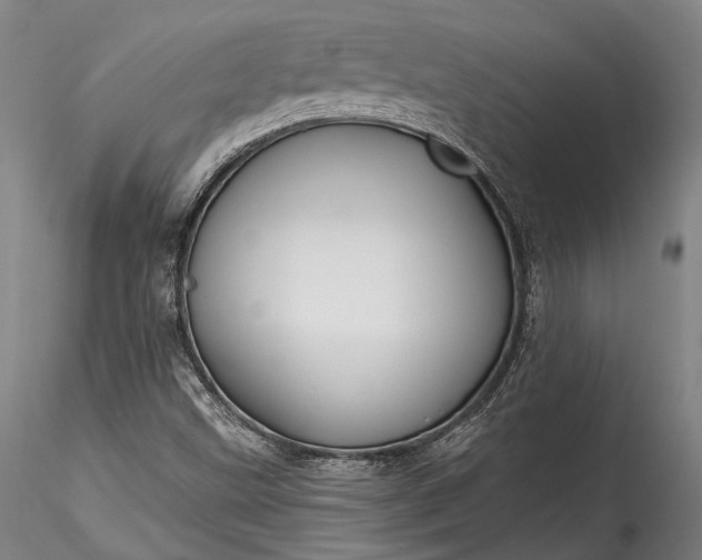 X0000115771499200911271127