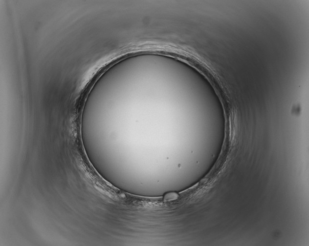 X0000115771501200911271127