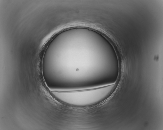 X0000115771502200911271127