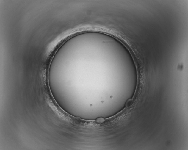 X0000115771503200911271128