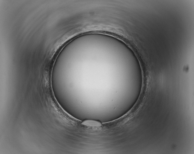 X0000115771505200911271128