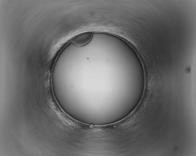 X0000115771507200911271128