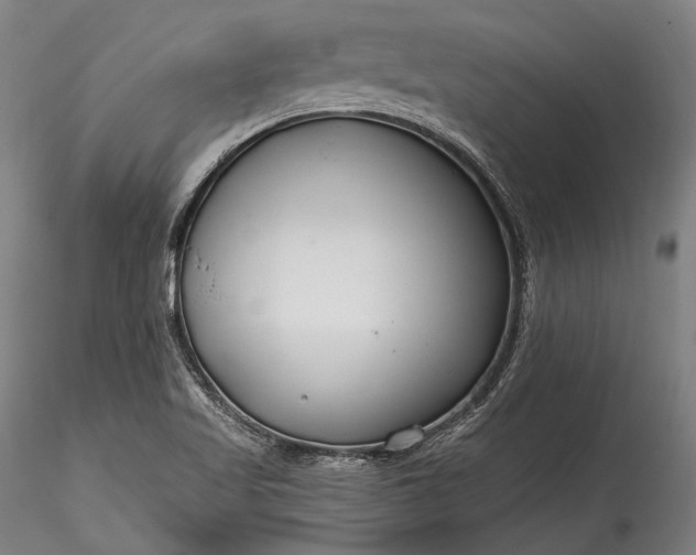 X0000115771509200911271128