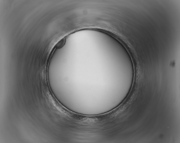 X0000115771513200911271128