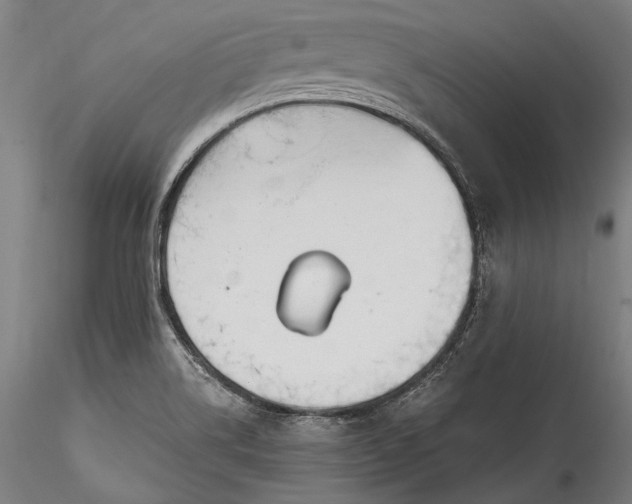 X0000115771514200911271128