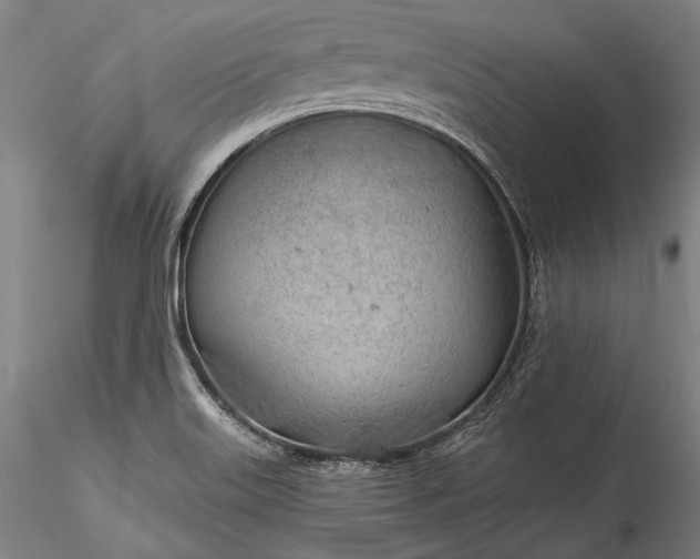 X0000115771515200911271128