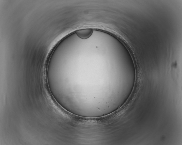 X0000115771517200911271128