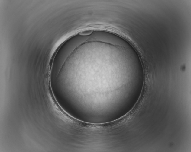 X0000115771522200911271128