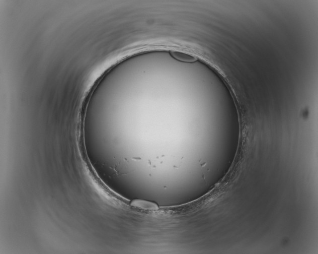 X0000115771523200911271128
